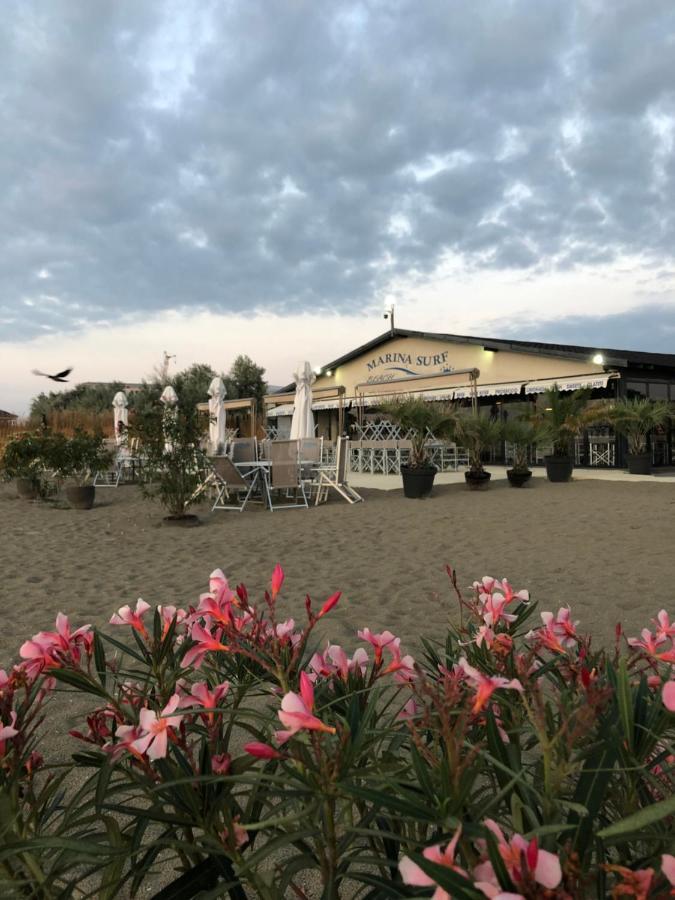 Marina Surf Hotel Năvodari Екстериор снимка