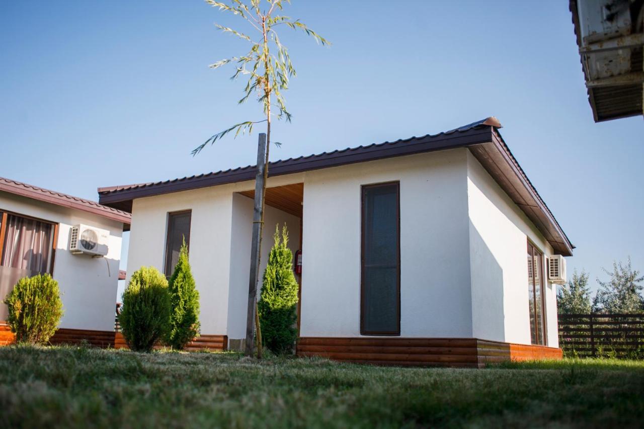 Marina Surf Hotel Năvodari Екстериор снимка
