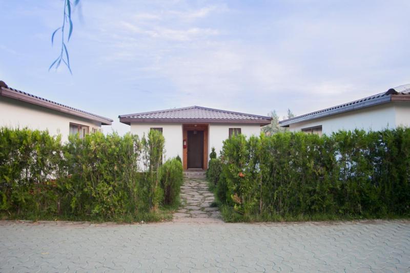 Marina Surf Hotel Năvodari Екстериор снимка